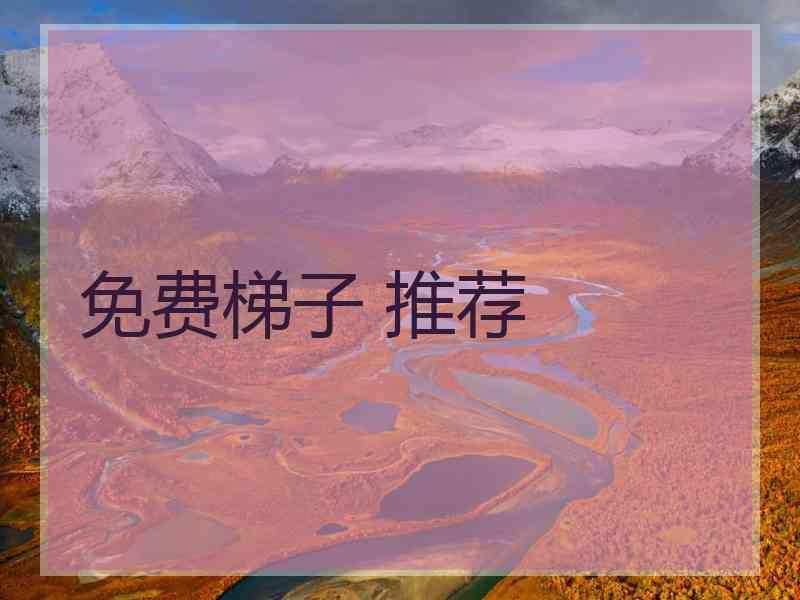 免费梯子 推荐