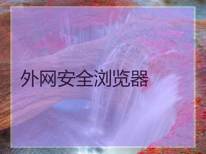 外网安全浏览器