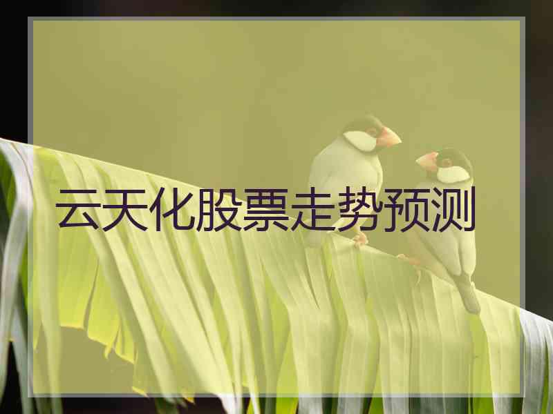 云天化股票走势预测