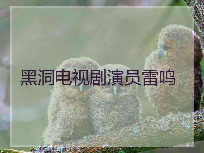 黑洞电视剧演员雷鸣