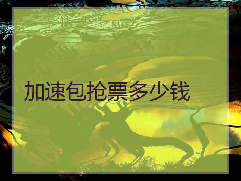 加速包抢票多少钱