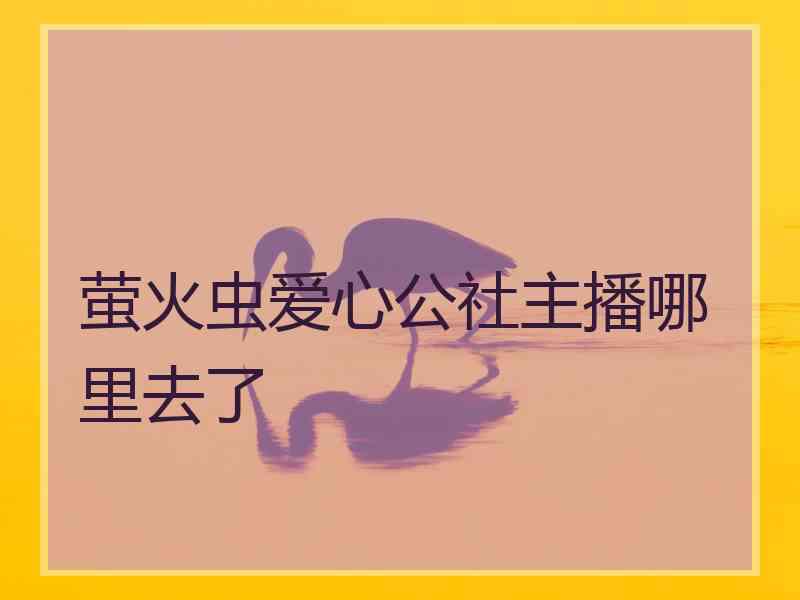 萤火虫爱心公社主播哪里去了