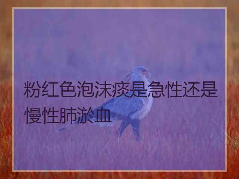 粉红色泡沫痰是急性还是慢性肺淤血