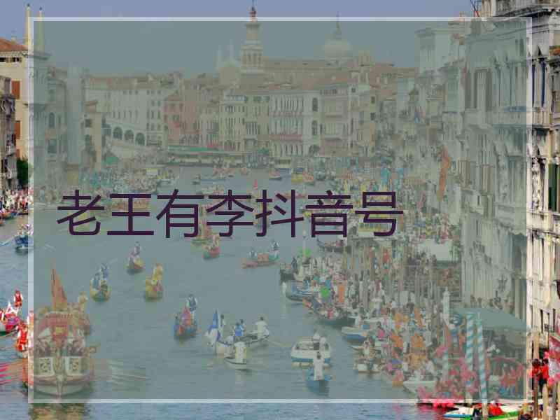 老王有李抖音号