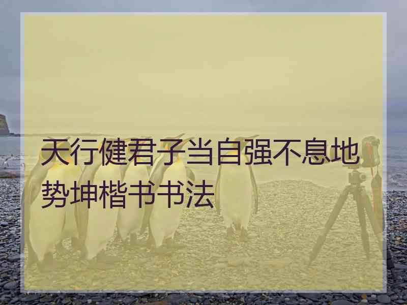 天行健君子当自强不息地势坤楷书书法