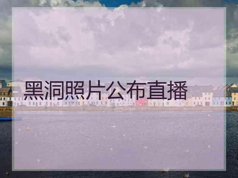 黑洞照片公布直播