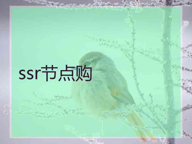 ssr节点购