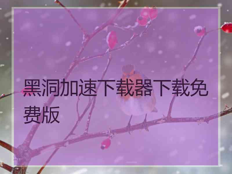 黑洞加速下载器下载免费版