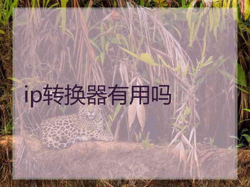 ip转换器有用吗