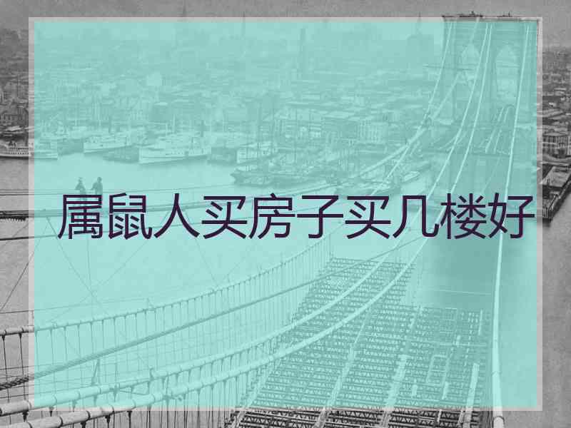 属鼠人买房子买几楼好