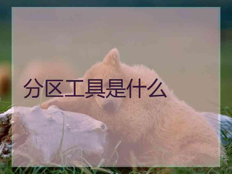 分区工具是什么