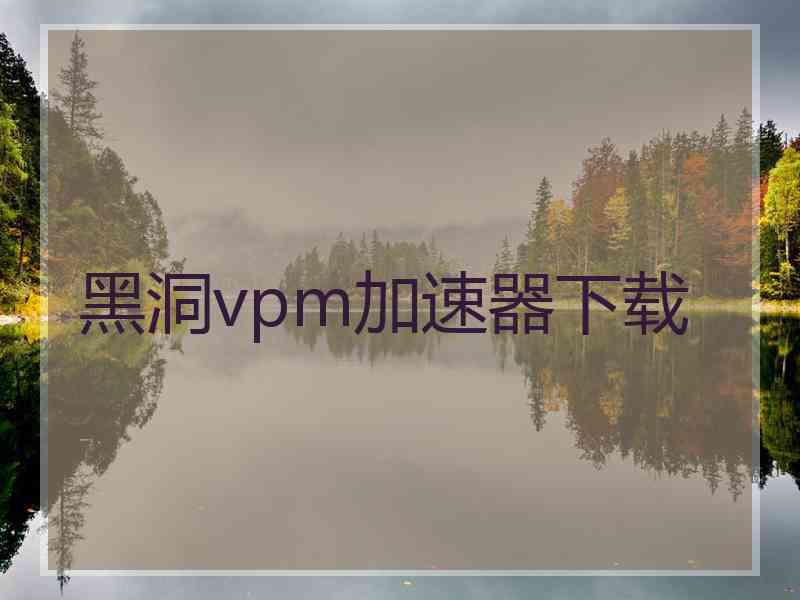 黑洞vpm加速器下载