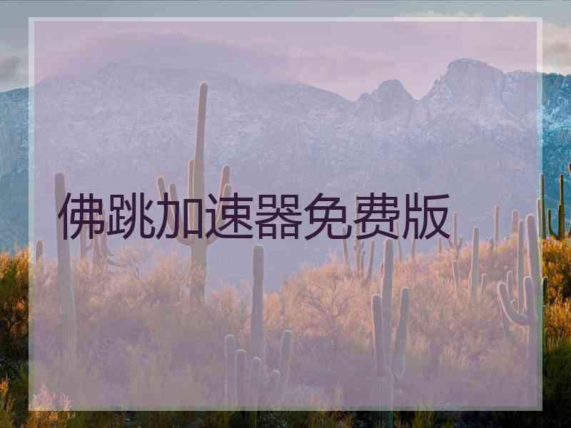 佛跳加速器免费版