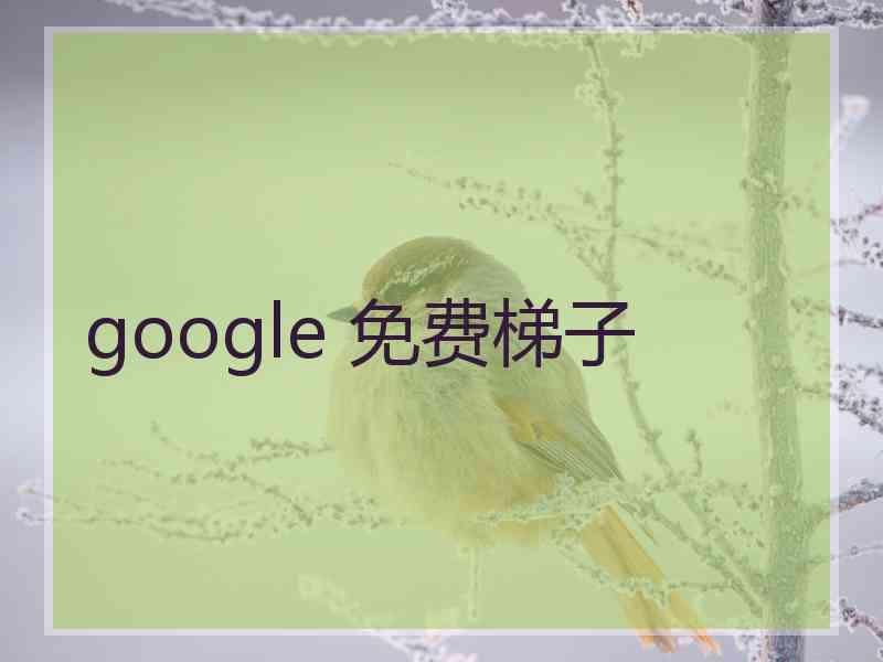 google 免费梯子