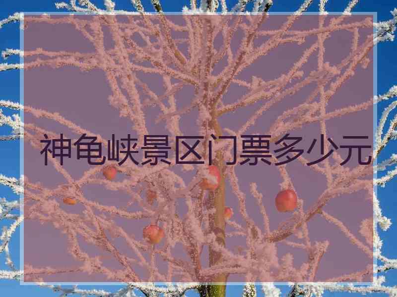 神龟峡景区门票多少元