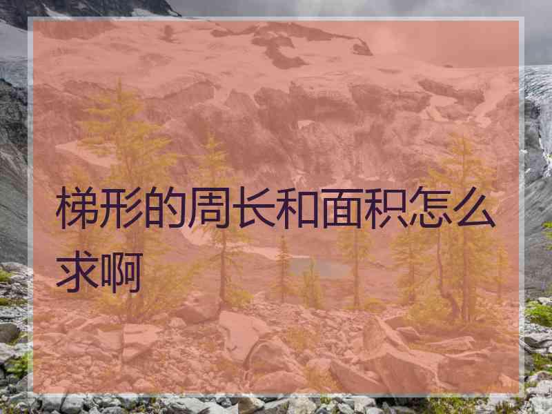 梯形的周长和面积怎么求啊