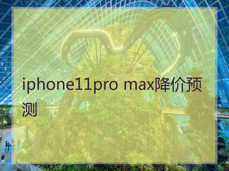 iphone11pro max降价预测