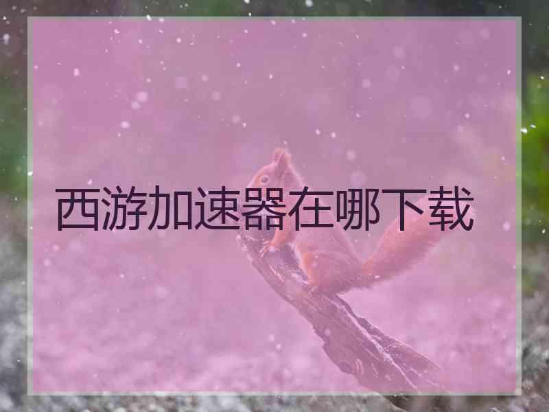 西游加速器在哪下载