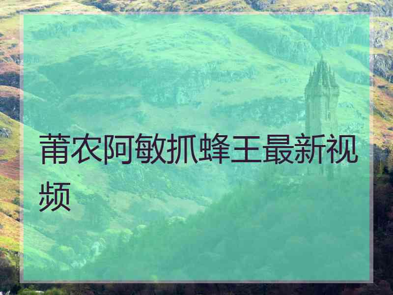 莆农阿敏抓蜂王最新视频