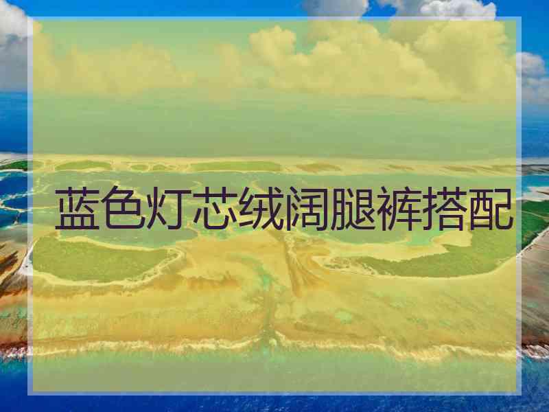 蓝色灯芯绒阔腿裤搭配
