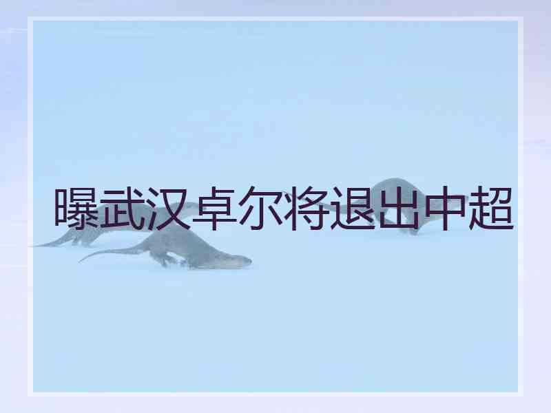 曝武汉卓尔将退出中超