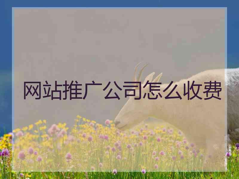 网站推广公司怎么收费