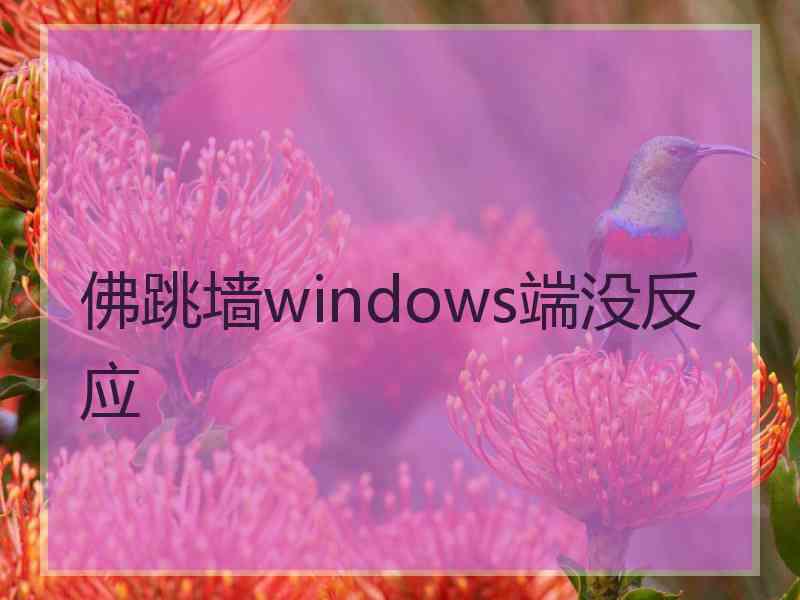 佛跳墙windows端没反应