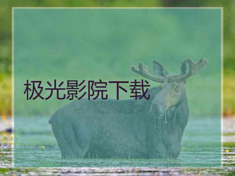 极光影院下载