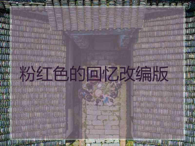 粉红色的回忆改编版