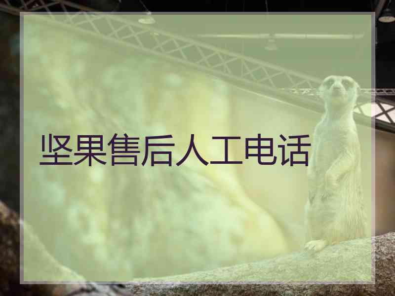 坚果售后人工电话