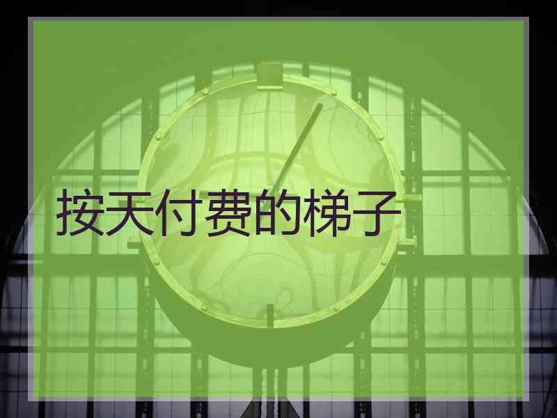 按天付费的梯子