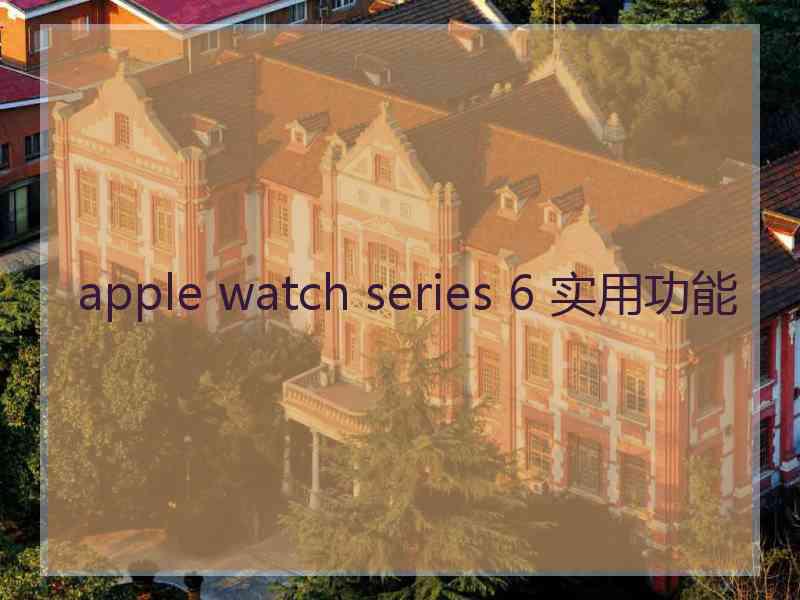 apple watch series 6 实用功能