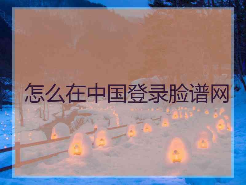 怎么在中国登录脸谱网
