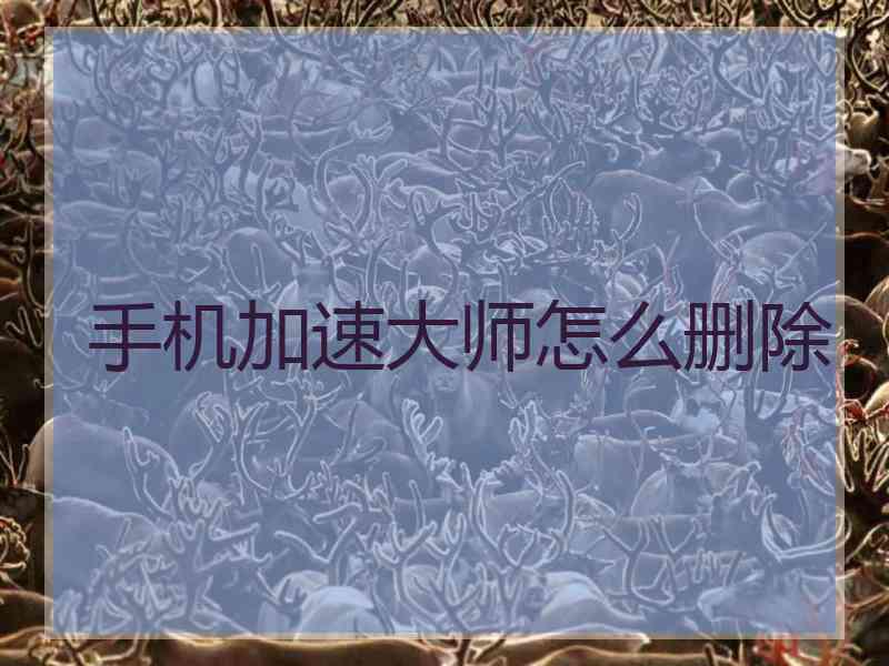 手机加速大师怎么删除