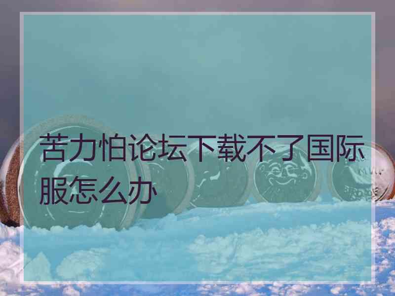 苦力怕论坛下载不了国际服怎么办
