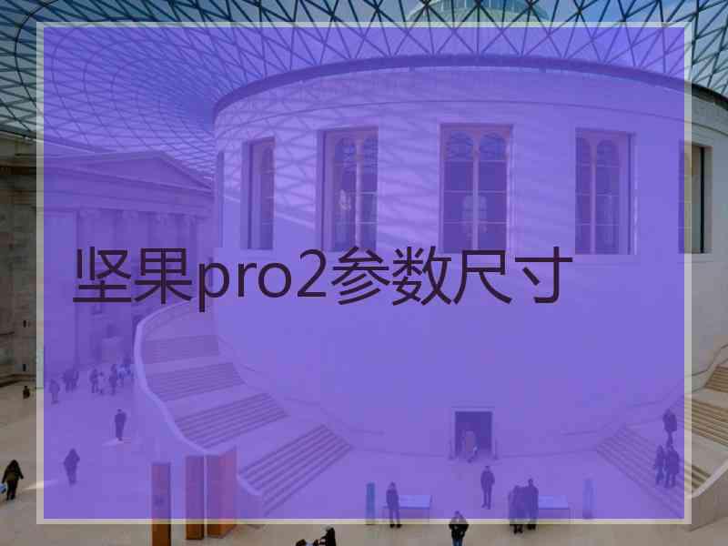坚果pro2参数尺寸