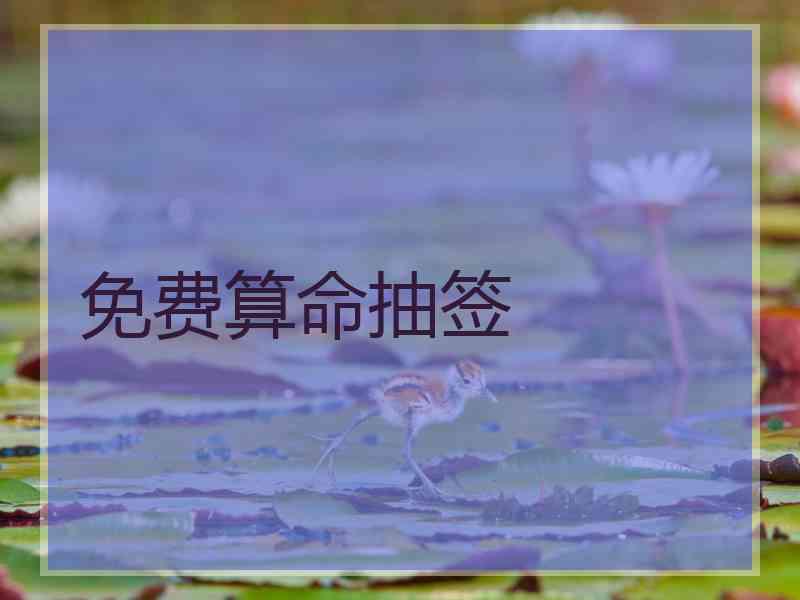 免费算命抽签