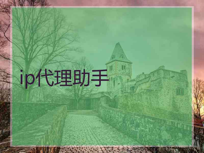 ip代理助手