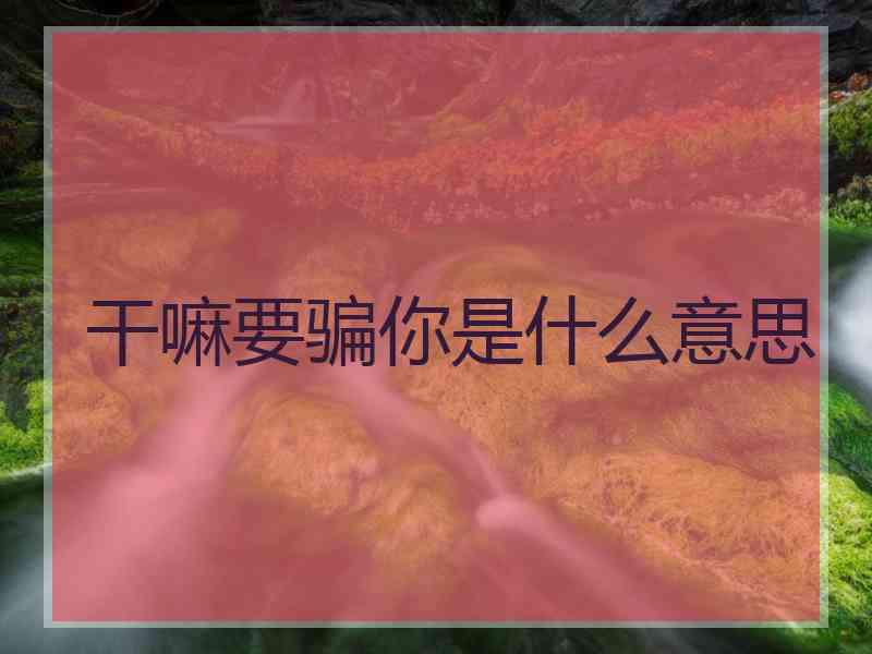 干嘛要骗你是什么意思