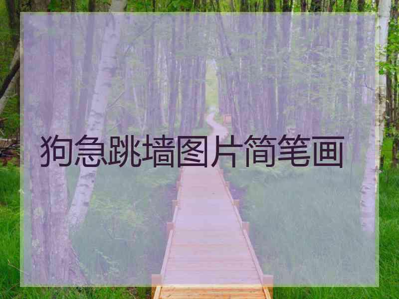 狗急跳墙图片简笔画