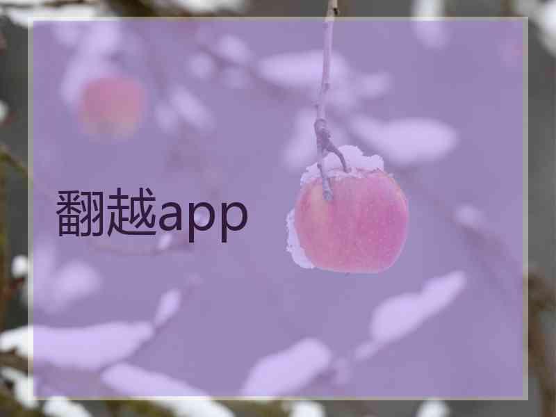 翻越app