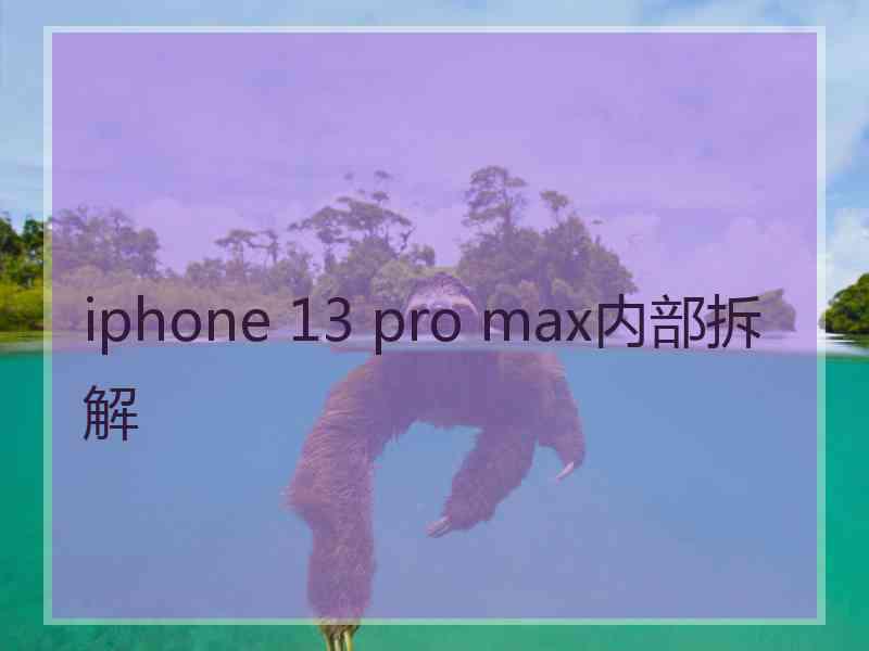 iphone 13 pro max内部拆解