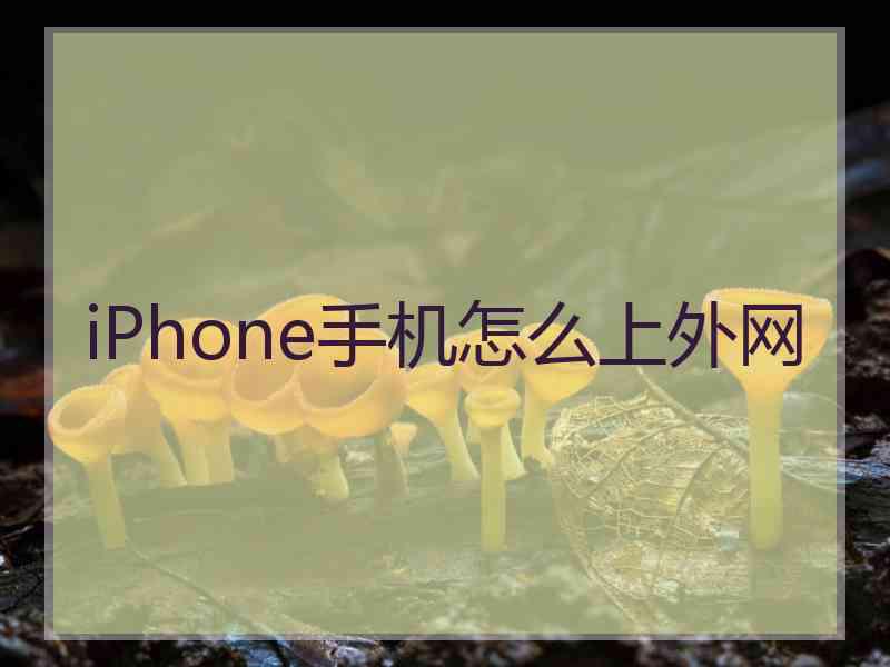 iPhone手机怎么上外网