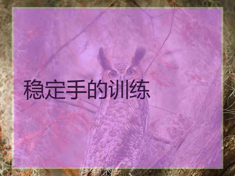 稳定手的训练