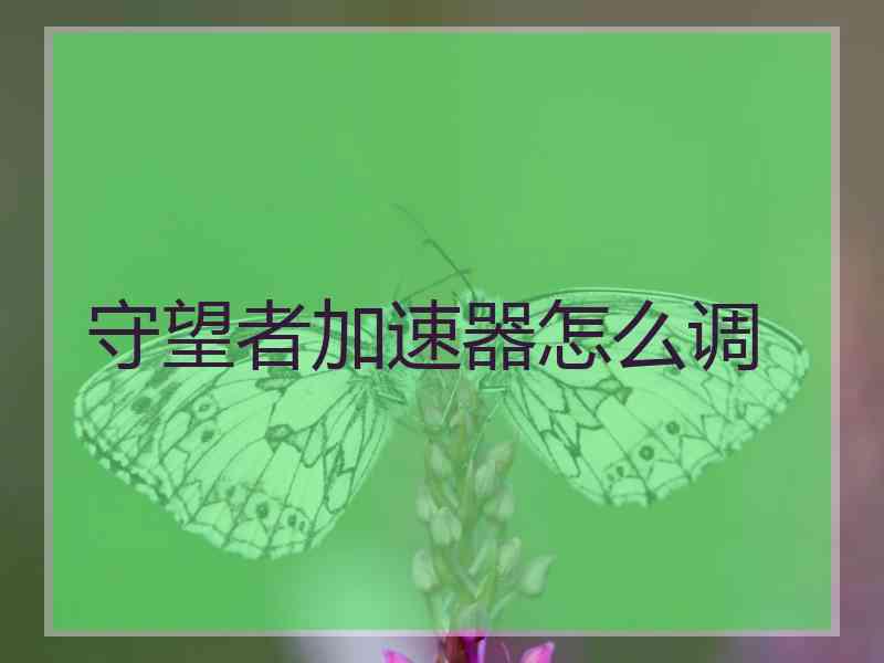 守望者加速器怎么调