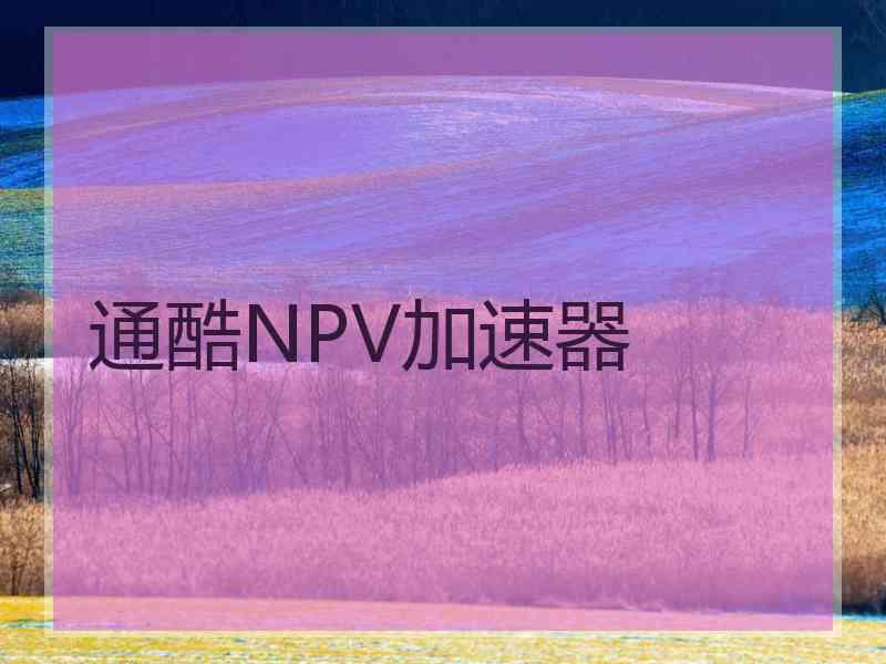 通酷NPV加速器