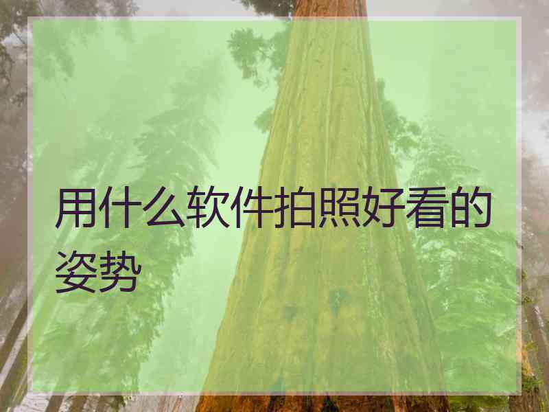 用什么软件拍照好看的姿势