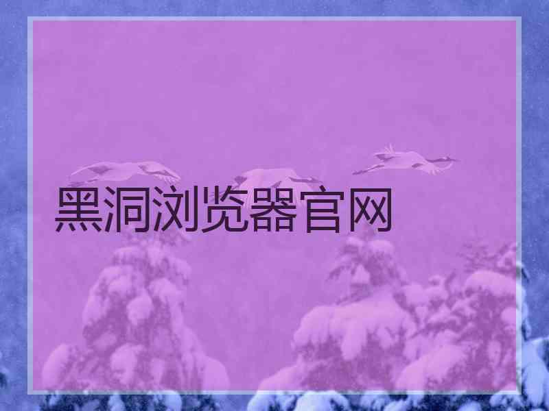 黑洞浏览器官网