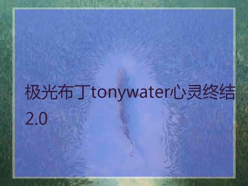 极光布丁tonywater心灵终结2.0