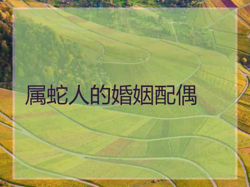 属蛇人的婚姻配偶